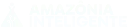Instituto Amazônia Inteligente